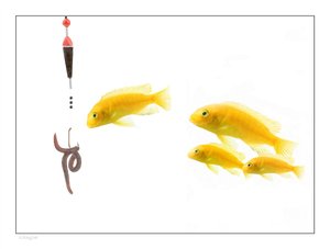 页面降级